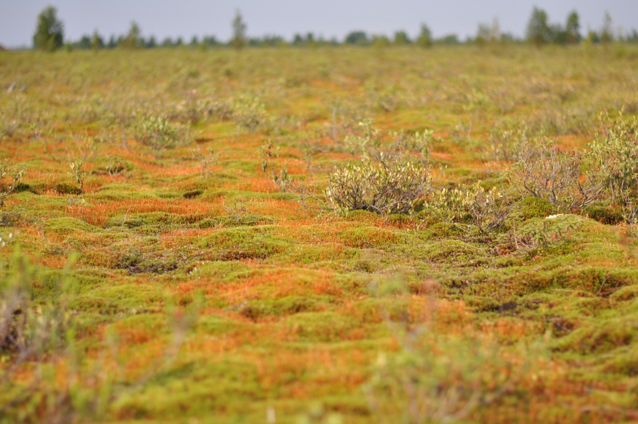 Lefrancois projet photo 1