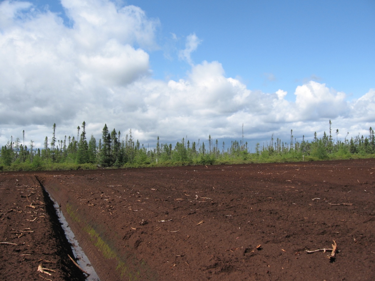 Lefrancois projet photo 3