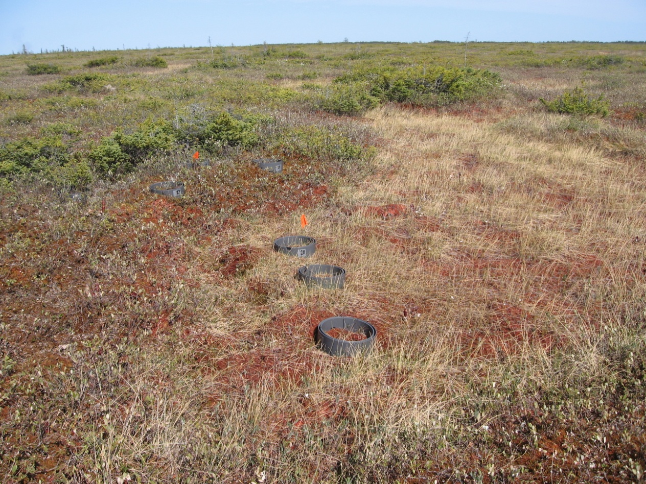 Lefrancois projet photo 4