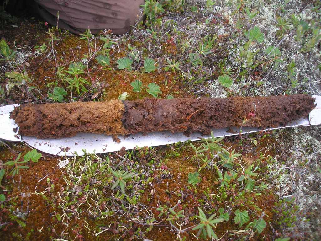 Magnan G projet photo 1