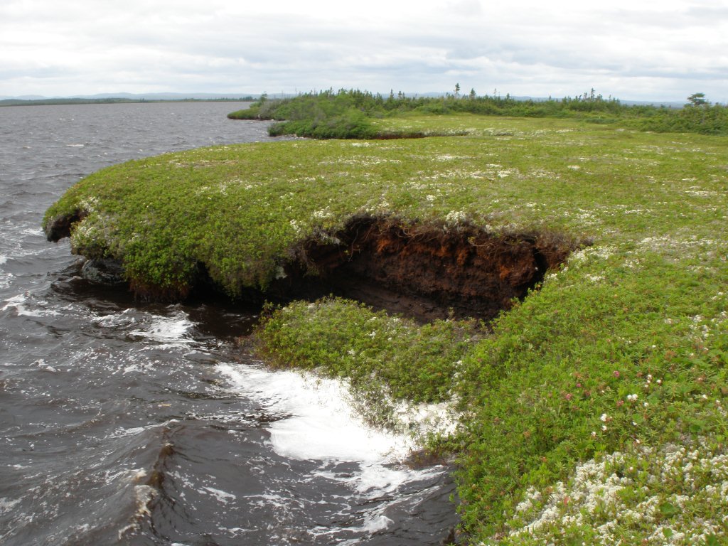 Magnan G projet photo 2