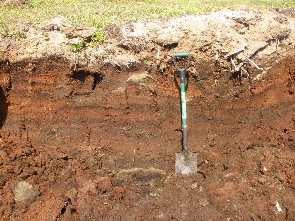 Magnan G projet photo 3