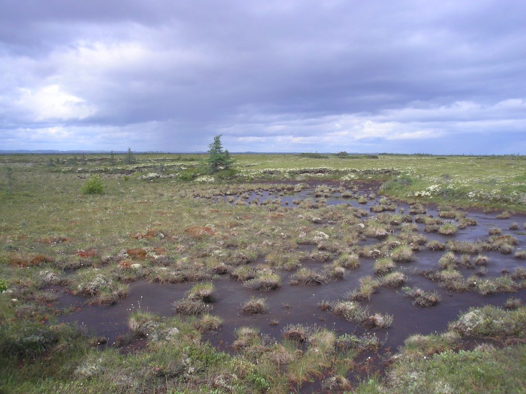 Magnan G projet photo 4