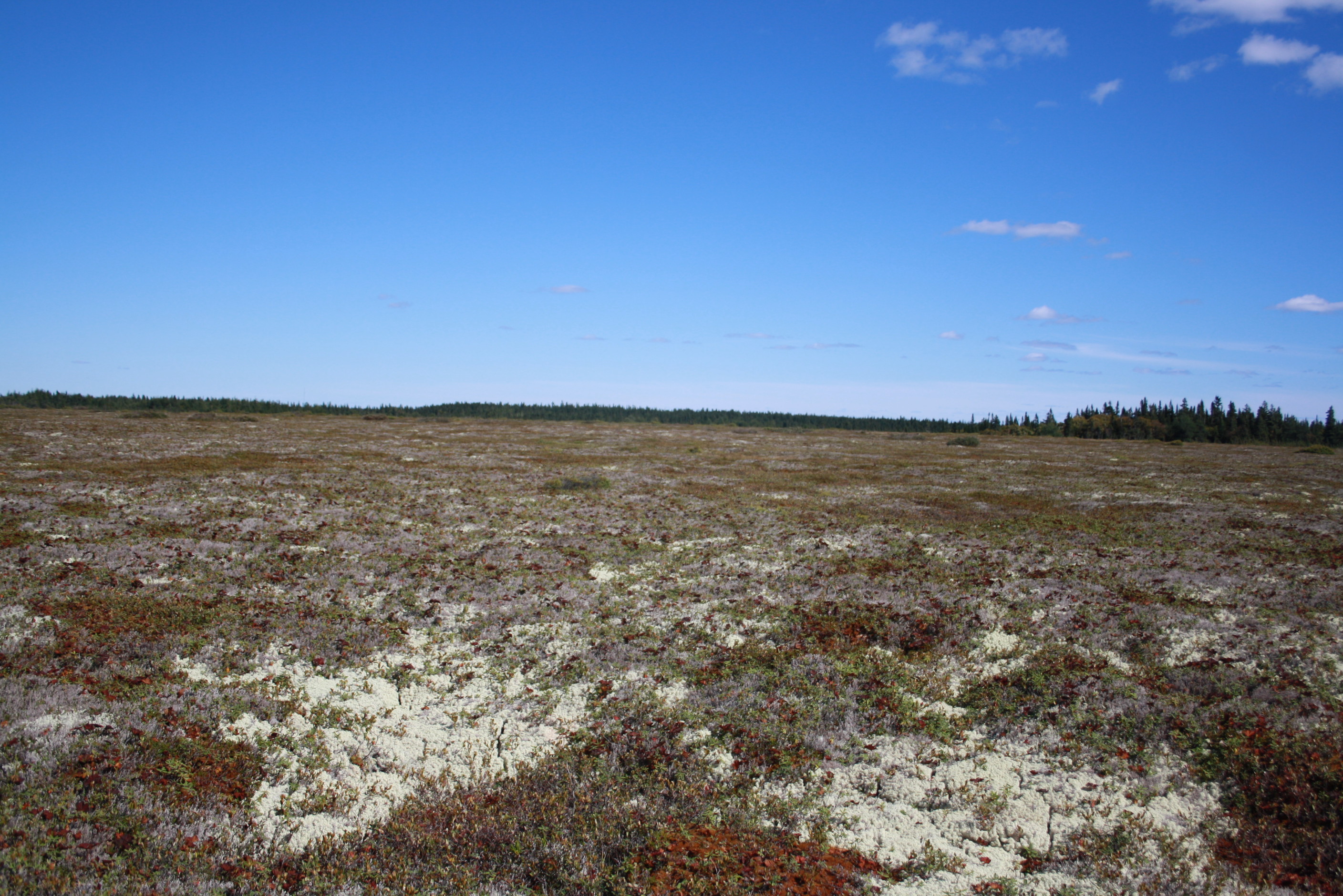 Pratte projet Ile havre