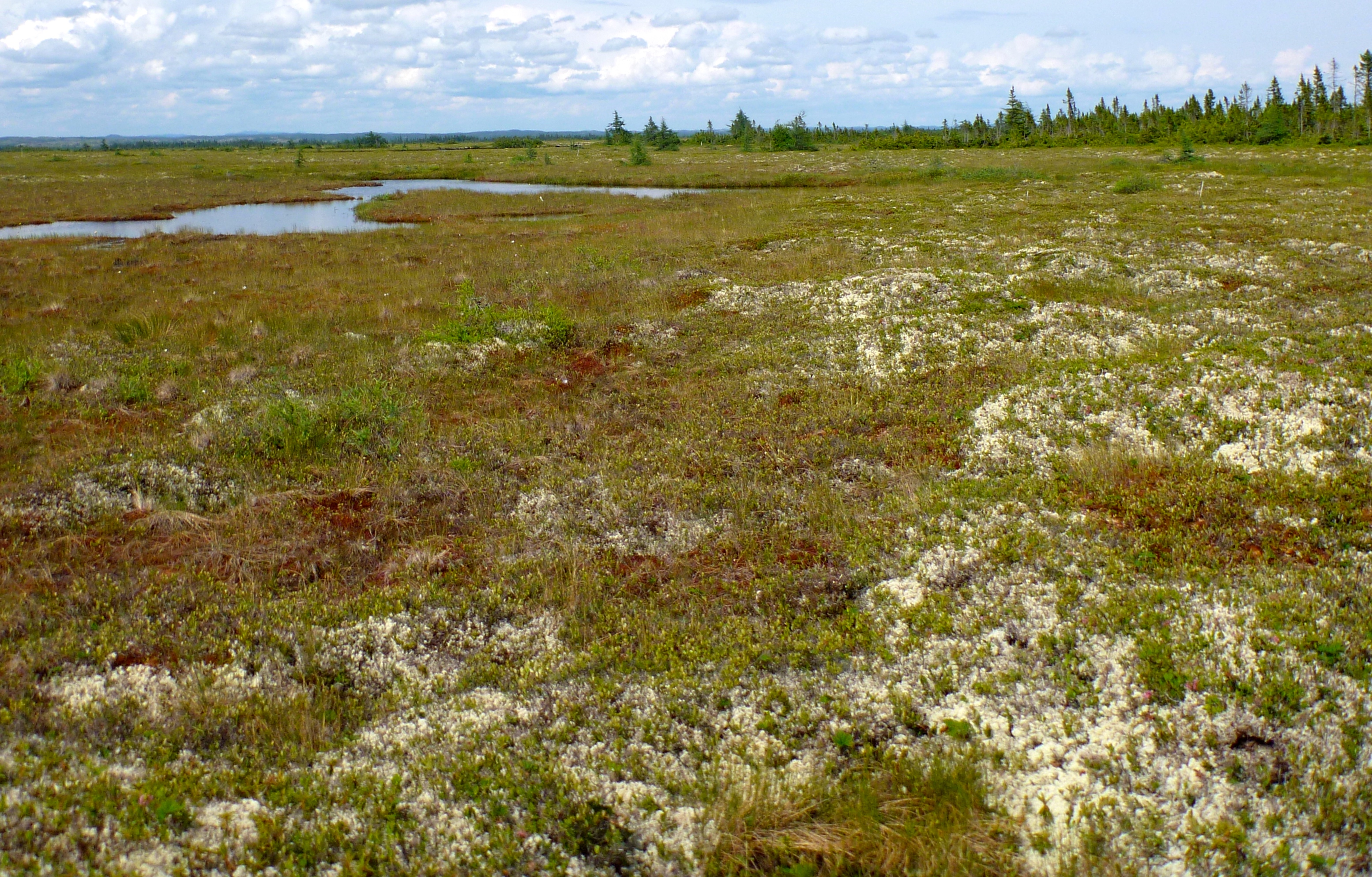 Sanderson HavreStPierre