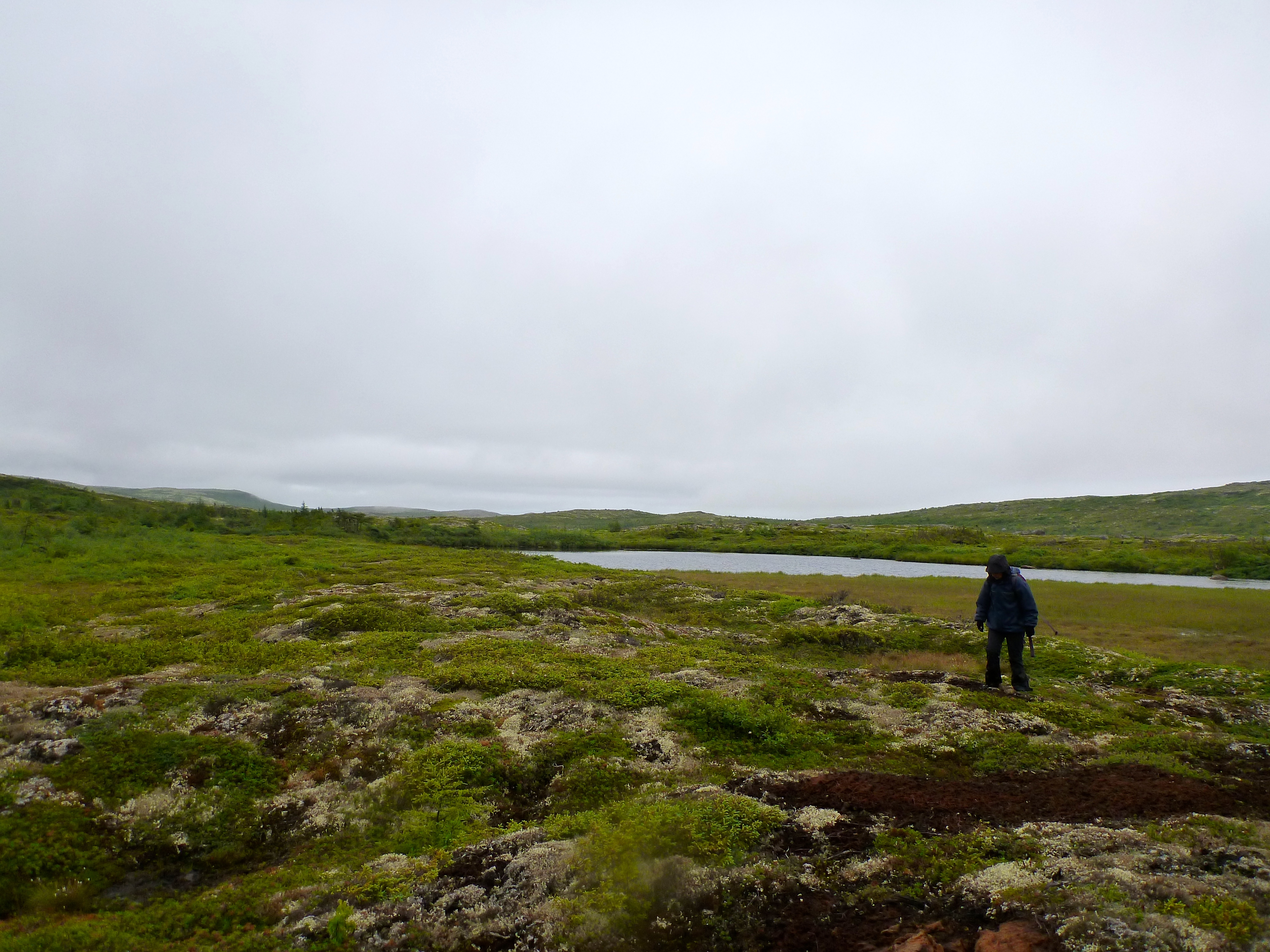 Sanderson PalseBlancSablon