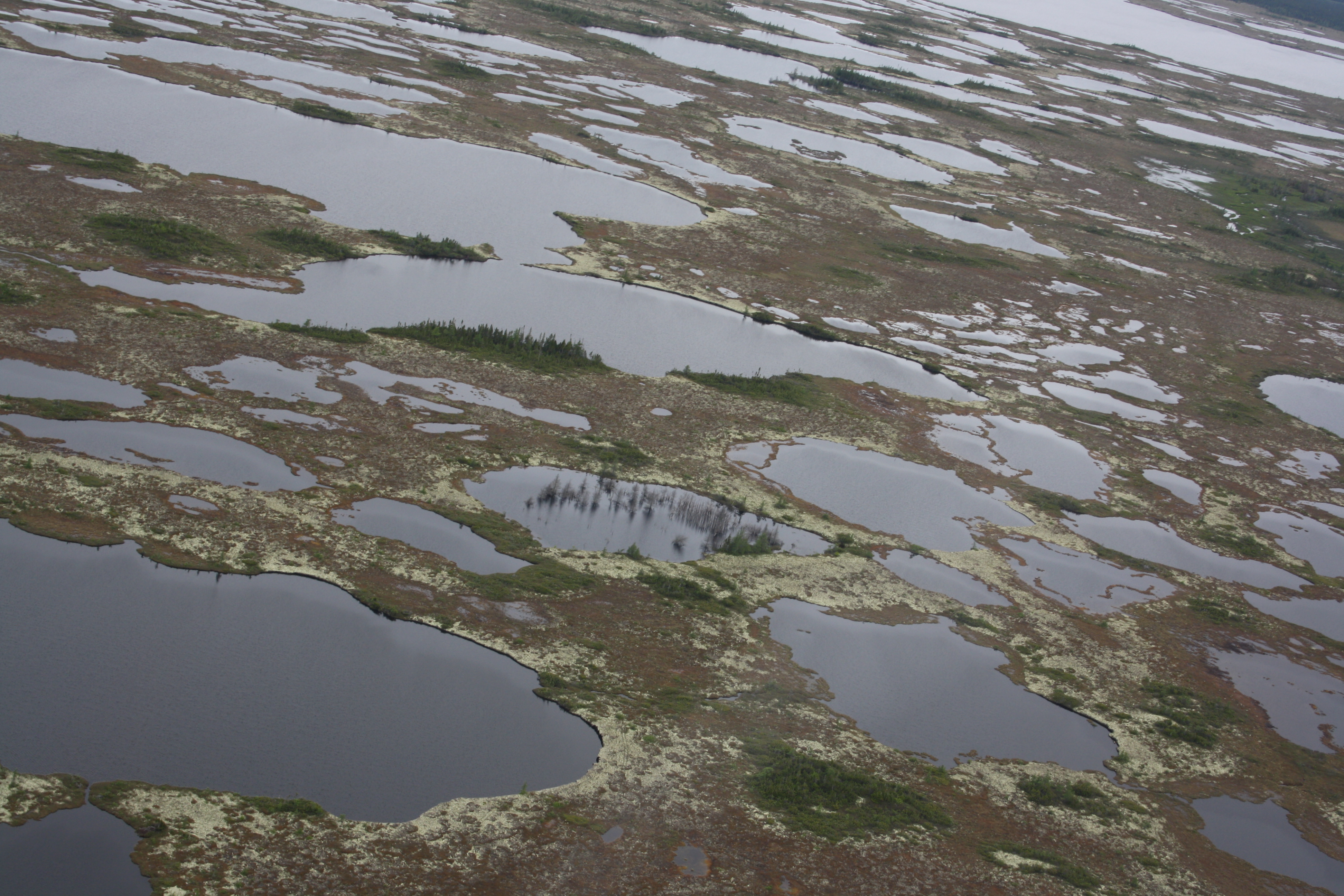 Thibault projet photo 1