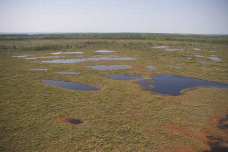 Thibault projet photo 2 comp