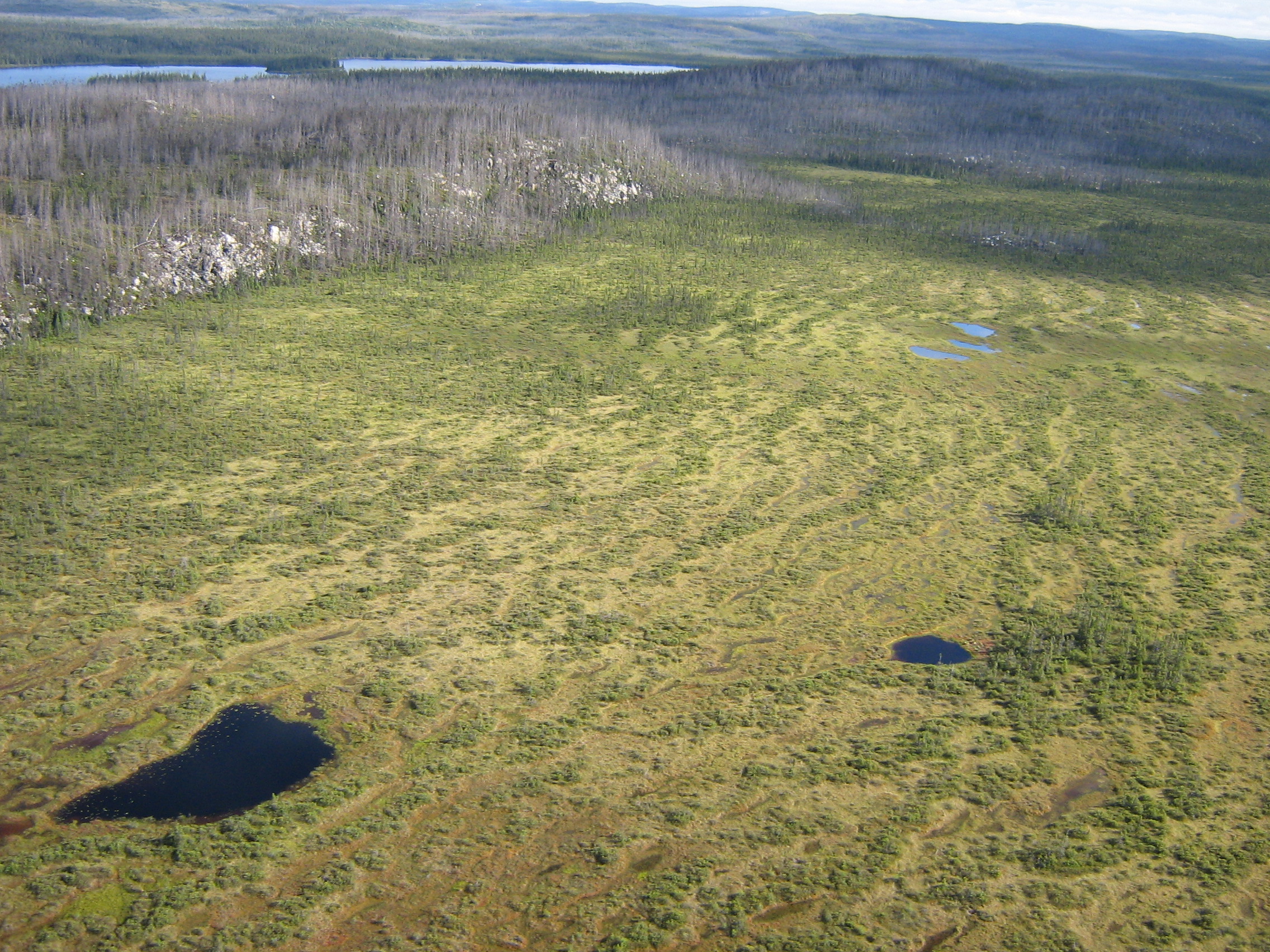 vanBellen doc projet photo 1