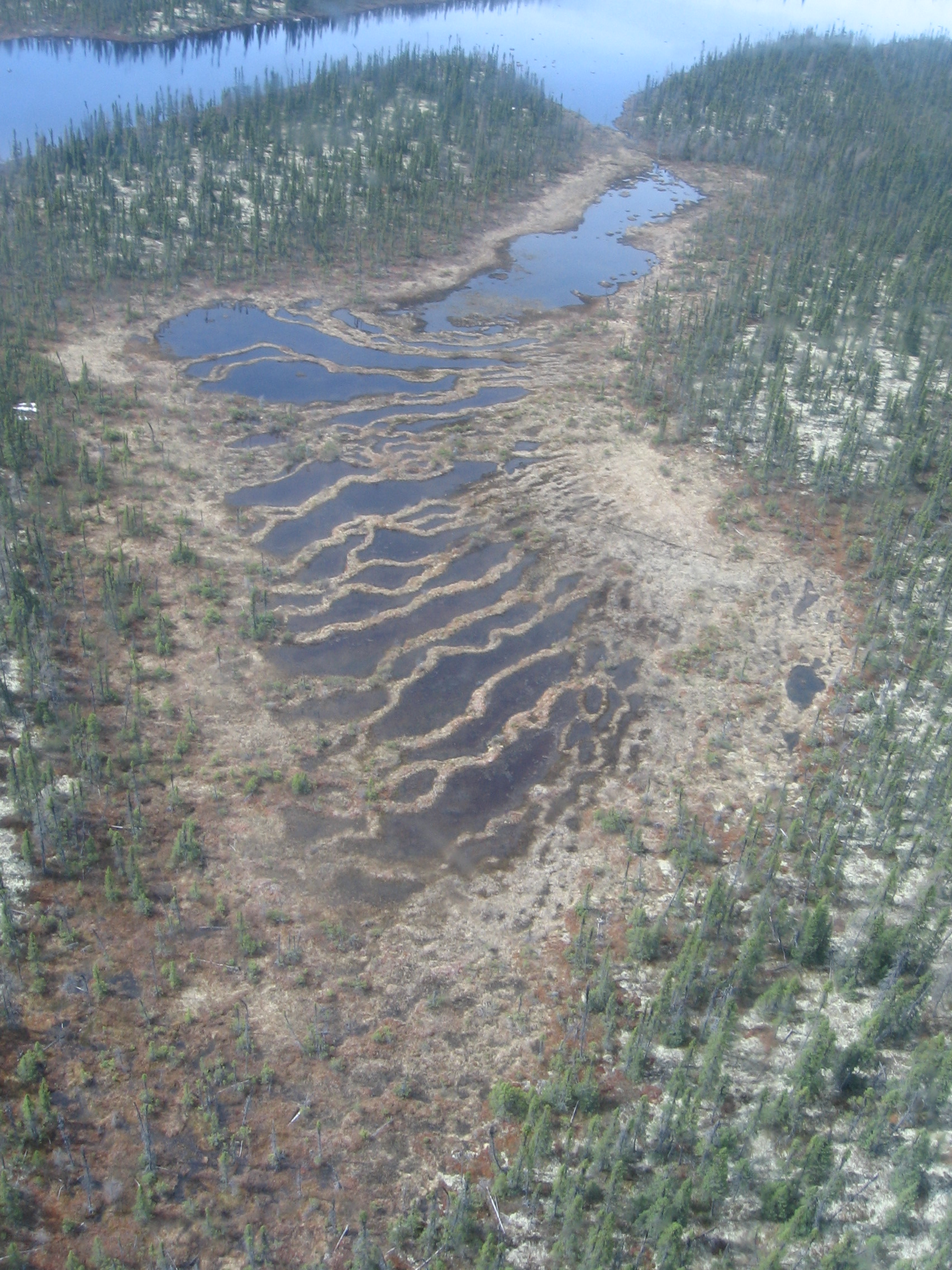 vanBellen postdoc photo 4