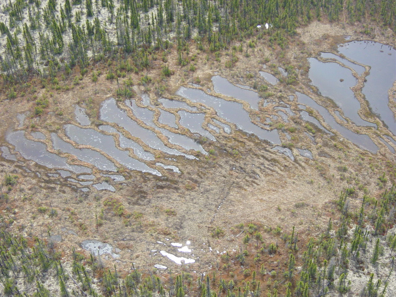 vanBellen postdoc projet photo 1