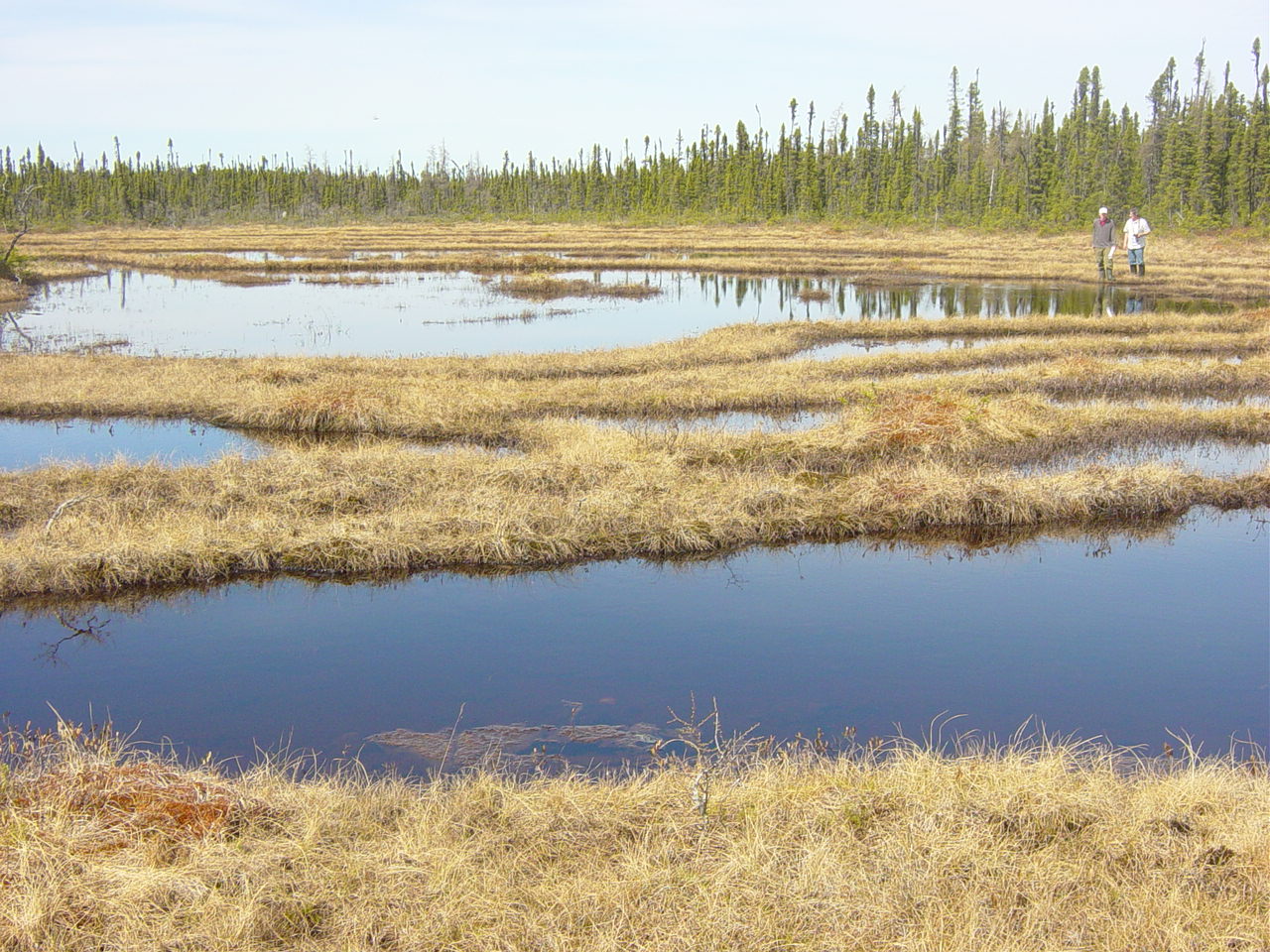 vanBellen postdoc projet photo 2